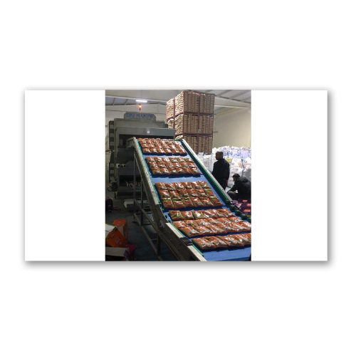 Gıda Kurutma Makineleri